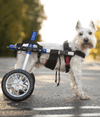 Walkin Wheels® SMALL Rear Dog Wheelchair (3.5 - 11kg)-Dog Wheelchairs-Walkin Wheels- Silver Circle Pets