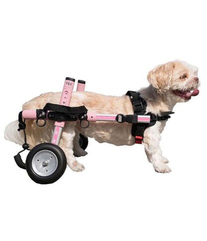 Walkin Wheels® SMALL Rear Dog Wheelchair (3.5 - 11kg)-Dog Wheelchairs-Walkin Wheels- Silver Circle Pets