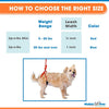 Walkin’ Wheels - Up-n-Go Leash-Dog Harness-Walkin Wheels- Silver Circle Pets