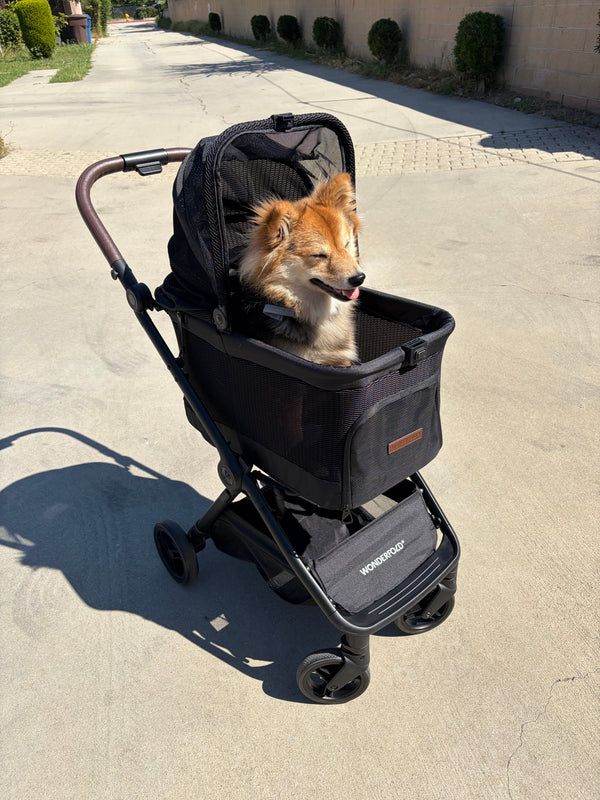WonderFold P20 Bella Pet Stroller | AutoFold™ Technology-Pet Strollers-WonderFold- Silver Circle Pets