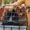 10 Practical Reasons to Use a Pet Bike Carrier - Silver Circle Pets
