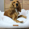 MISSOGNO Celestial Hypoallergenic Orthopaedic Dog Bed
