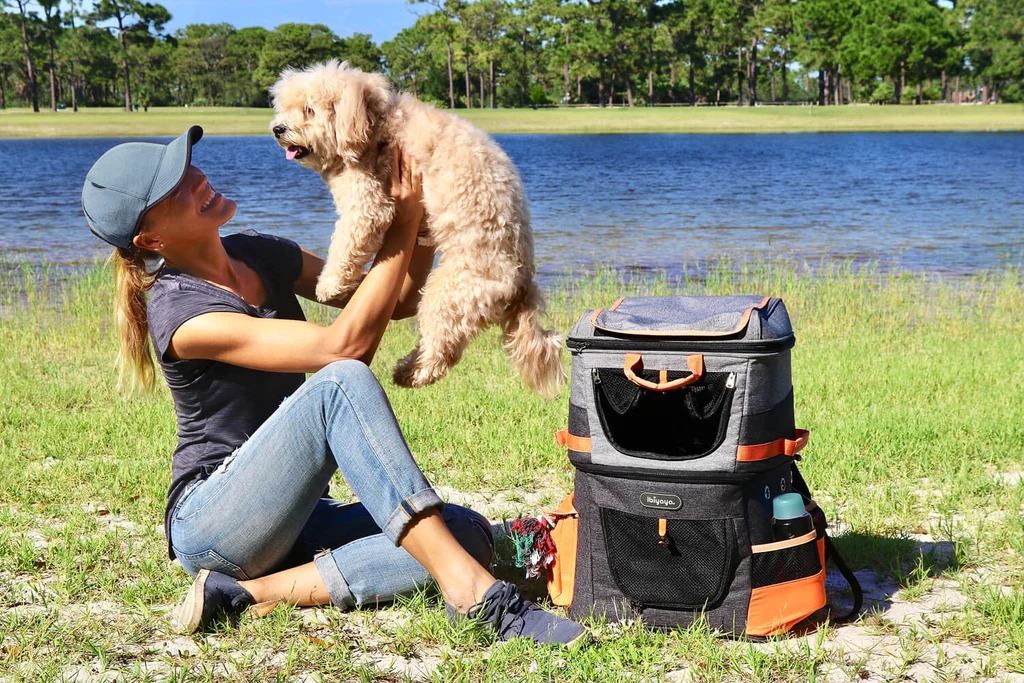 5 Advantages of Using a Pet Carrier