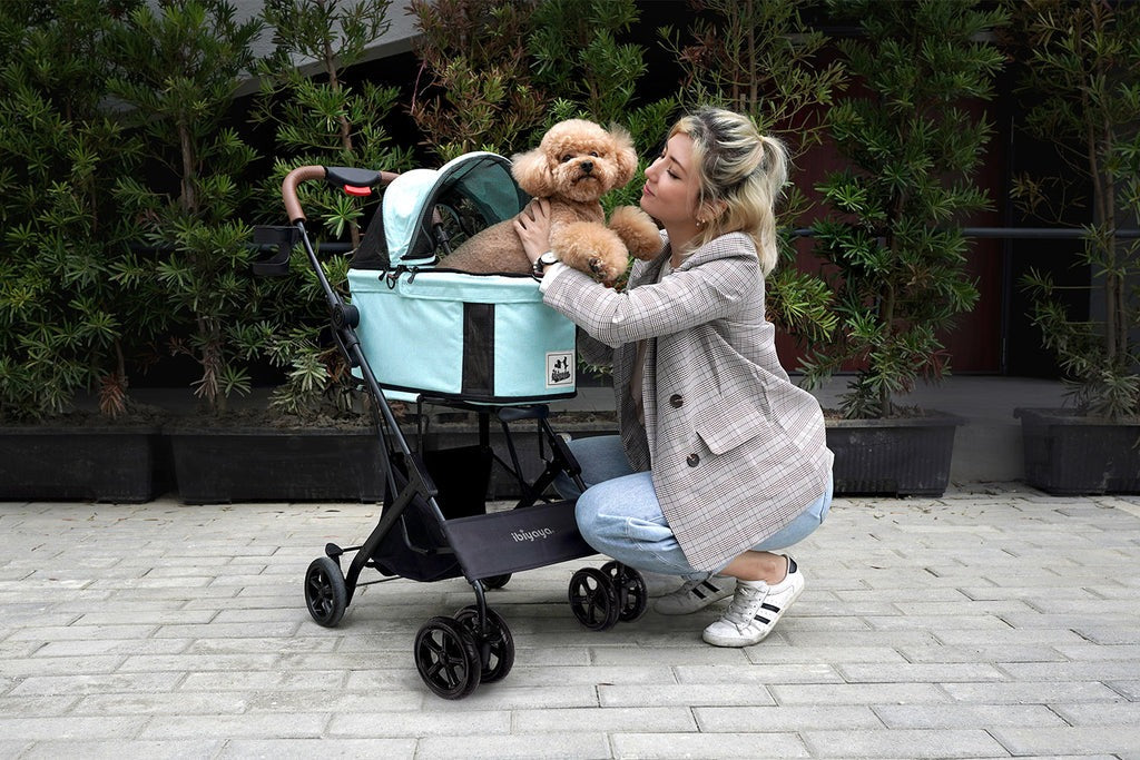 Complete Guide: Ibiyaya Dog Strollers & Pet Carriers