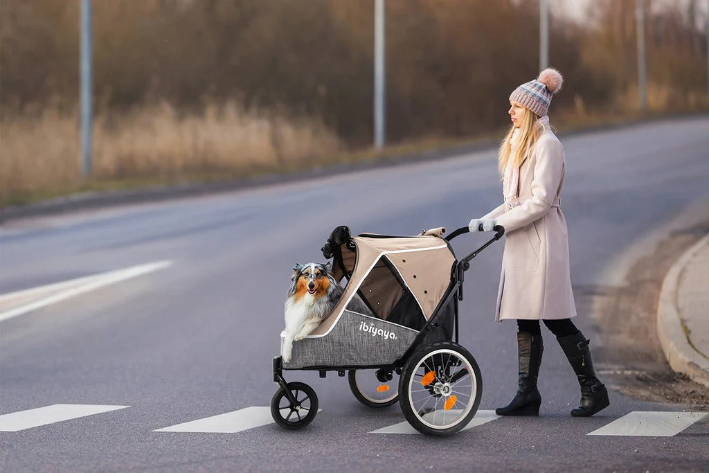 The Innopet Sporty Deluxe dog stroller with a dog laid in it being pushed by a lady