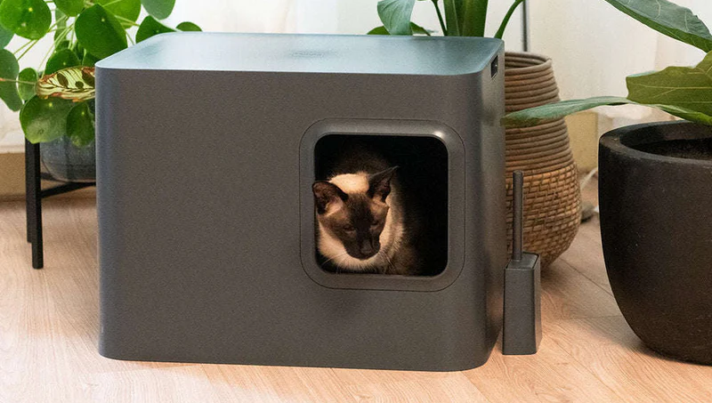 Hoopo Dome Cat Litter Box - Silver Circle Pets