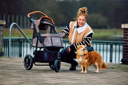 InnoPet Premium Cozy Dog Stroller: The Ultimate in Comfort and Convenience