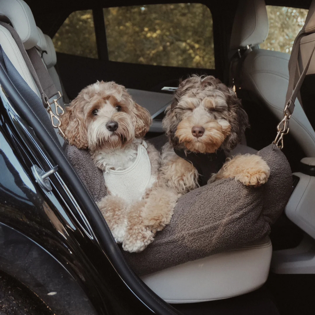 By Teddy XL Cosy dog car seat