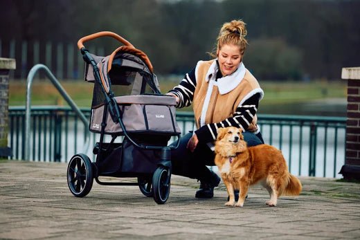 InnoPet Premium Cozy Dog Stroller: The Ultimate in Comfort and Convenience - Silver Circle Pets