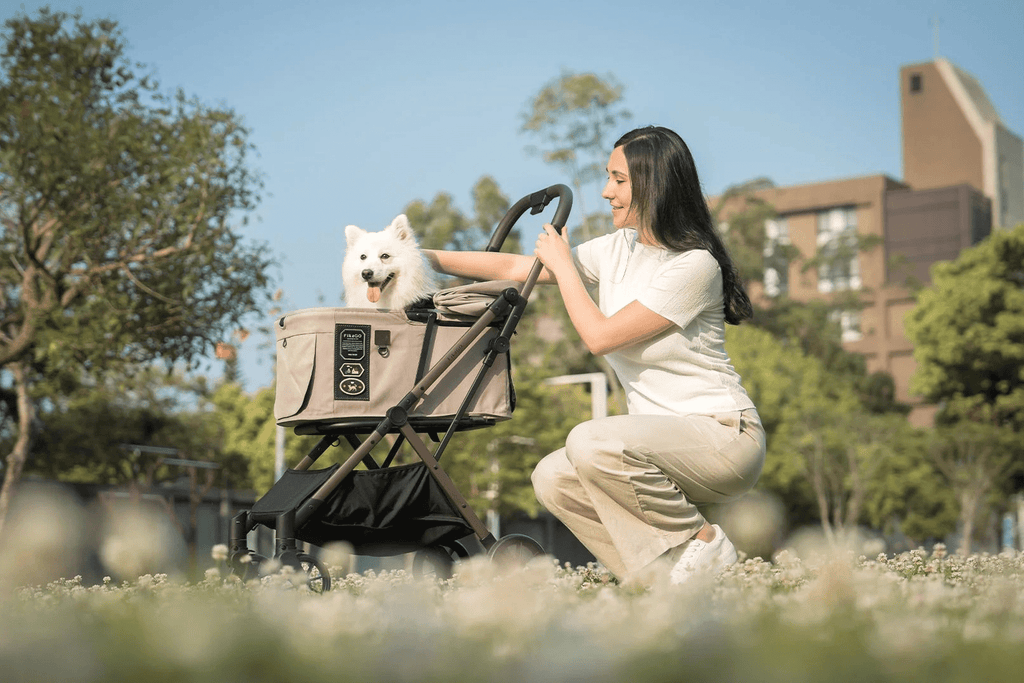 Where to Buy FikaGO in the UK - Silver Circle Pets
