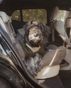 By Teddy Extra Large Cosy Dog Car Seat