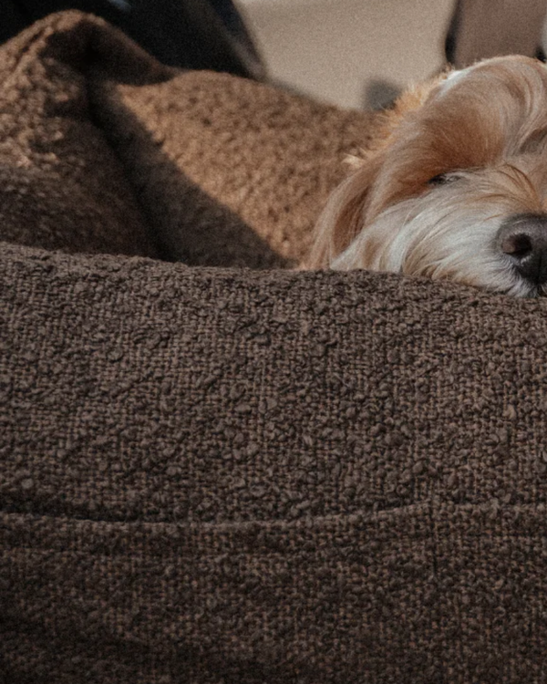 By Teddy The Teddington Sofa Dog Bed | Bouclé