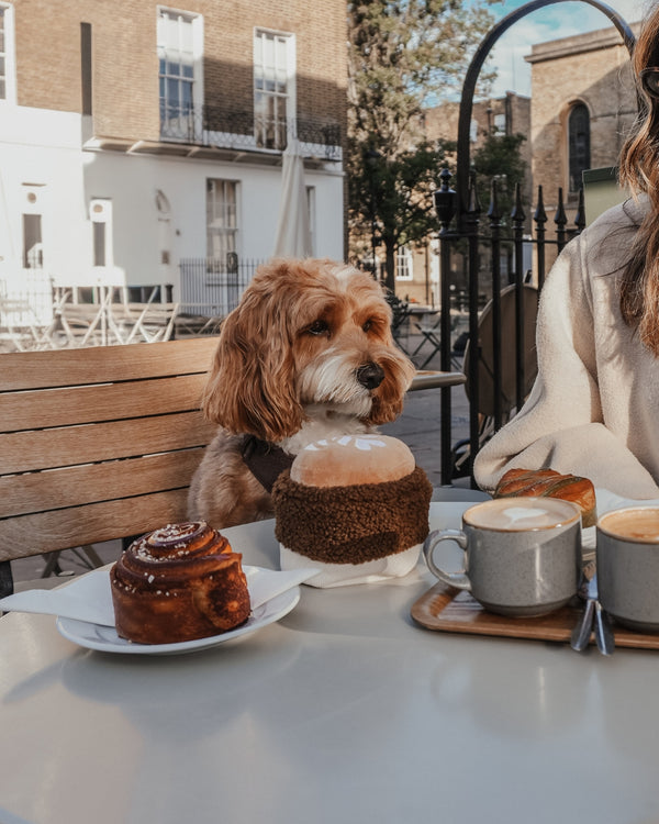 By Teddy Flat White Coffee Cup Dog Toy