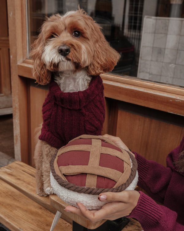 By Teddy Pecan Pie Dog Toy