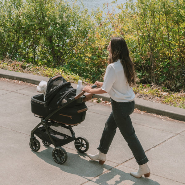Tavo Pets Roscoe™ Pet Stroller Frame