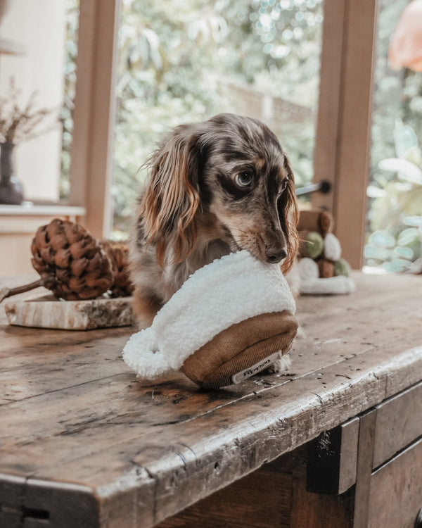 By Teddy Matcha Coffee Cup Dog Toy