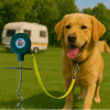 3SixtyFun Tie-out Stake - Petique- Silver Circle Pets