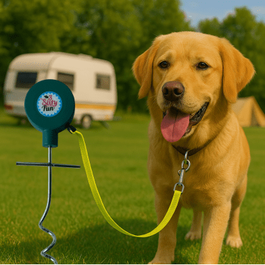 3SixtyFun Tie-out Stake - Petique- Silver Circle Pets
