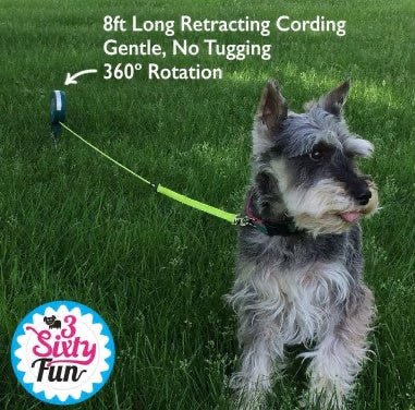 3SixtyFun Tie-out Stake - Petique- Silver Circle Pets
