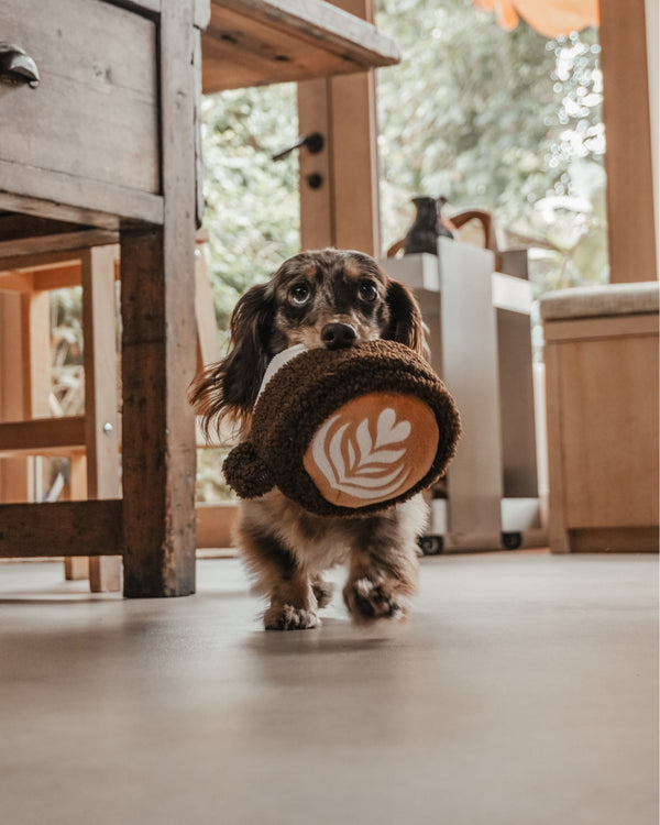 By Teddy Flat White Coffee Cup Dog Toy