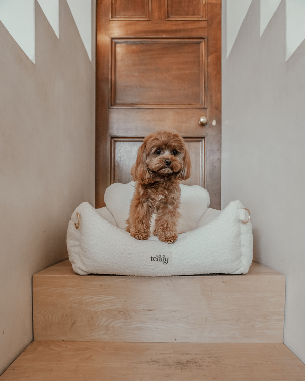 By Teddy The Bouclé Dog Car Seat