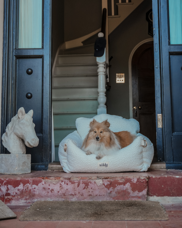 By Teddy The Bouclé Dog Car Seat