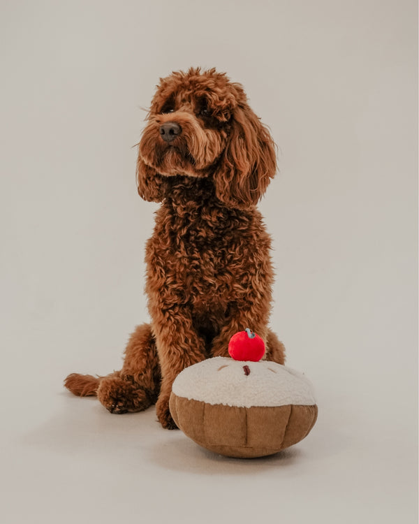By Teddy Cherry Bakewell Tart Dog Toy