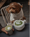 By Teddy Matcha Coffee Cup Dog Toy