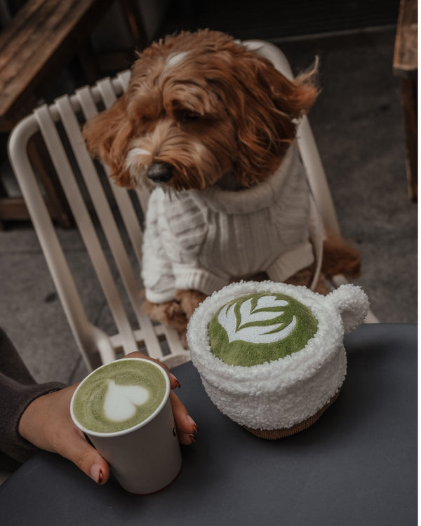 By Teddy Matcha Coffee Cup Dog Toy