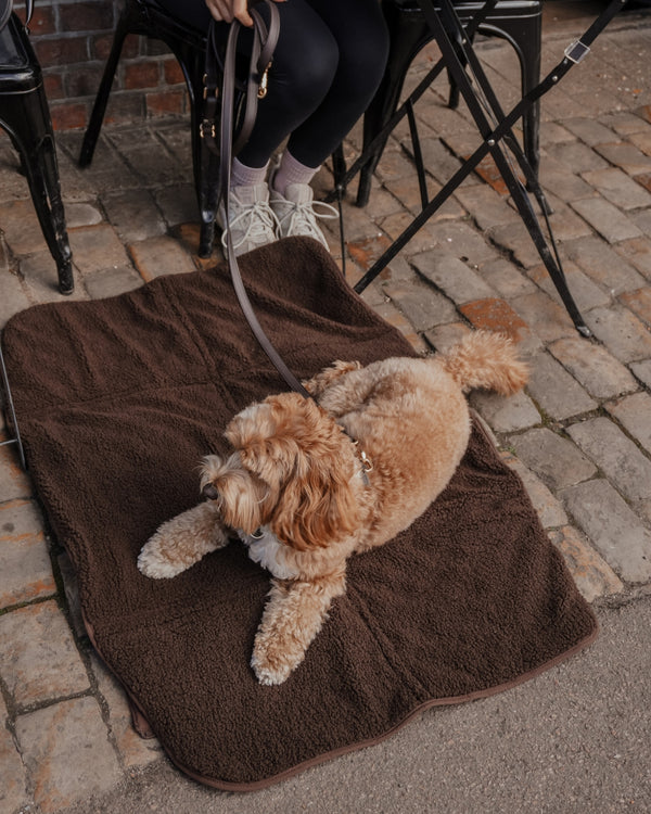 By Teddy Quilted Pet Settle Mat Tote | 2-in-1 | Sherpa