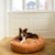 Tadazhi Donut Dog Bed Light Brown