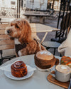By Teddy Flat White Coffee Cup Dog Toy