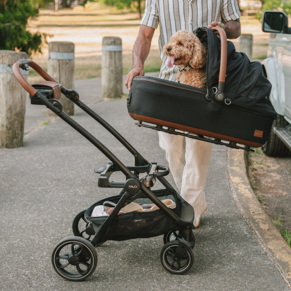 Tavo Pets Roscoe™ Pet Stroller Frame