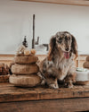 By Teddy Maple Pancake Stack Dog Toy