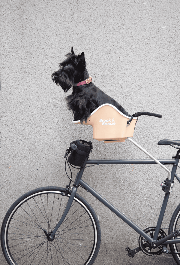 Brook & Breeze Canine Copilot Rear Mount