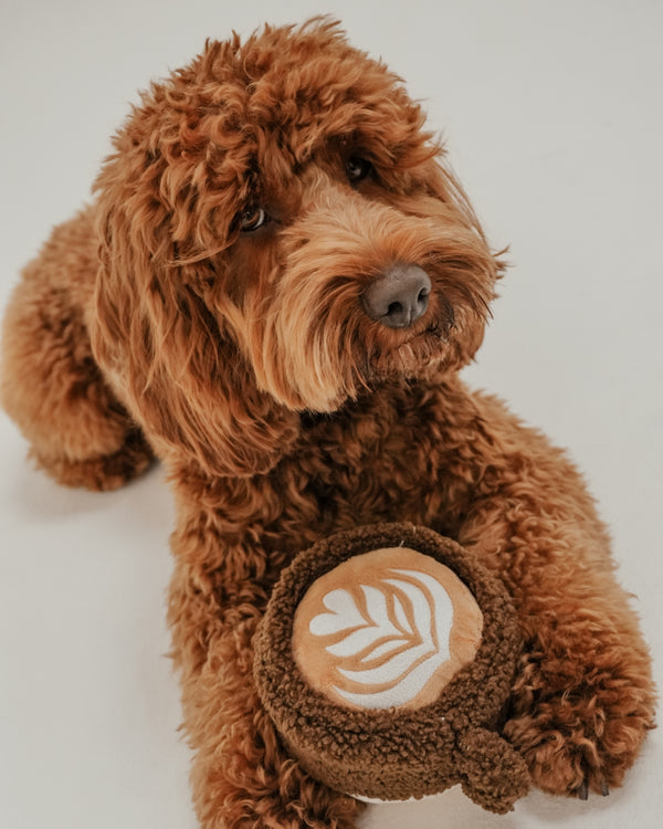 By Teddy Flat White Coffee Cup Dog Toy
