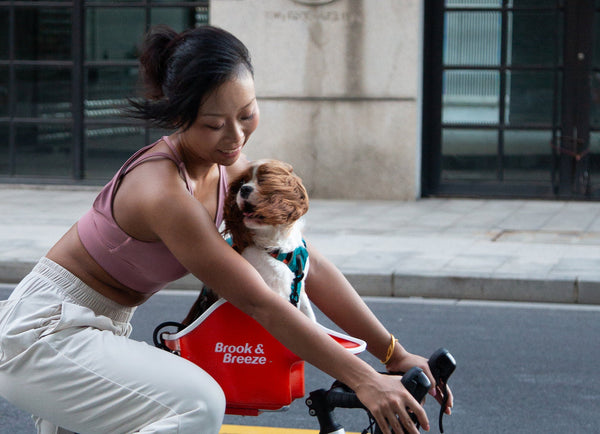 Brook & Breeze Canine Copilot Dog Bike Seat | Fittings Included