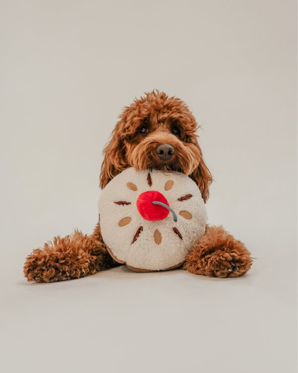 By Teddy Cherry Bakewell Tart Dog Toy