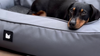 Extreme Lounging B-DogBed | Indoor & Outdoor