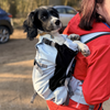 Henry Wag Dog Backpack | Forward Facing
