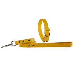 Baker & Bray Sustainable Leather Dog Collar & Lead Set | Lemon