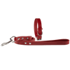 Baker & Bray Sustainable Leather Dog Collar & Lead Set | Rose Dog Collar & Lead Baker & Bray Silver Circle Pets 