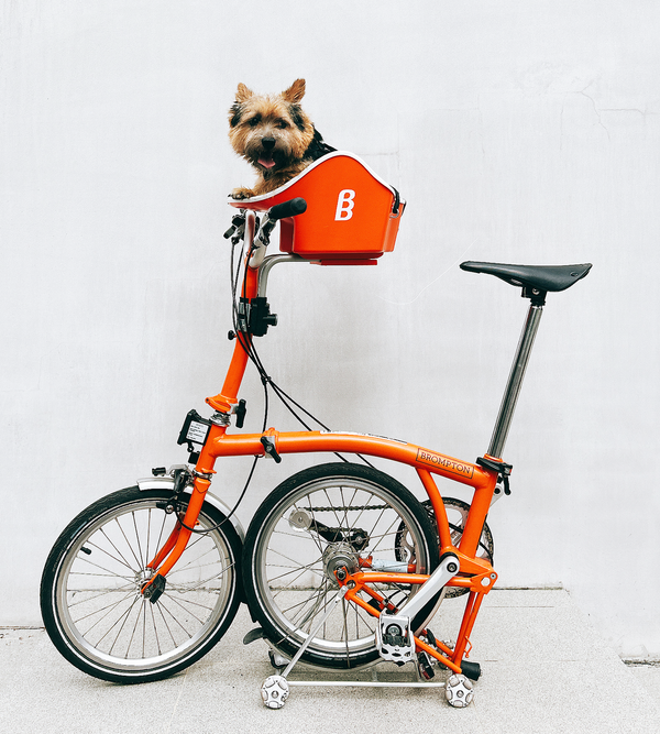 Brook & Breeze Canine Copilot Folding Bike Front Mount