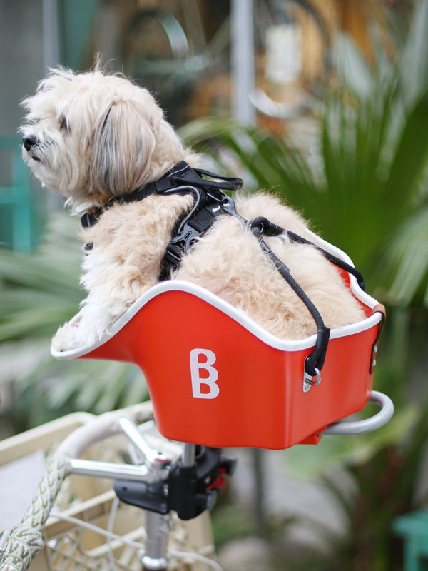 Brook & Breeze Canine Copilot Dog Bike Seat | Fittings Included