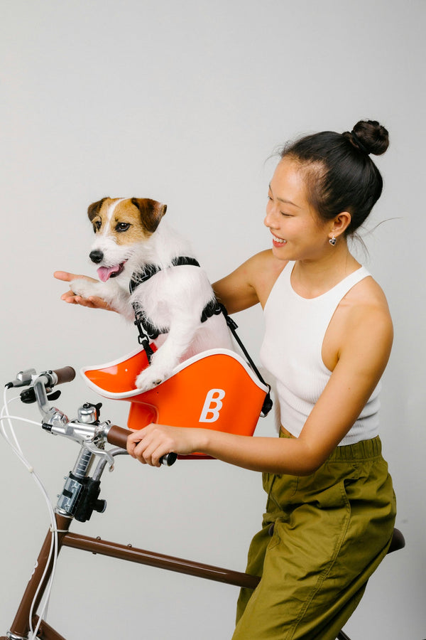 Brook & Breeze Canine Copilot Dog Bike Seat | Fittings Included