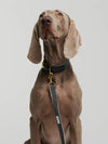 By Scout Hemp Fibre Chef L'Bark Adjustable Dog Leash Dog Leash By Scout Silver Circle Pets 