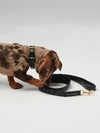 By Scout Mela Caspita Vegan Leather Adjustable City Leash Adjustable leashes By Scout Silver Circle Pets 