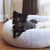 William Walker Dog Bed Comfy Cloud - Luxury Small Dog Beds - Sky - Silver Circle Pets