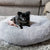 William Walker Dog Bed Comfy Cloud - Luxury Dog Bed - Sky - Silver Circle Pets