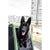 Croozer Brunno Dog Trailer | 45 kg, Silver Circle Pets, Pet Trailer, Croozer, 